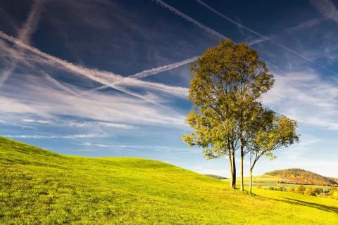 Golf course 스톡 사진