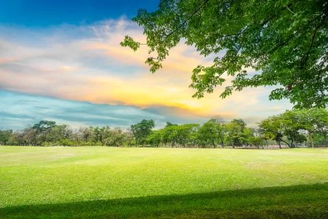 Golf course Stock Photos