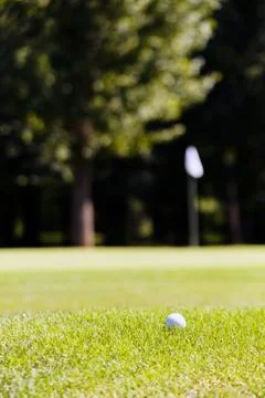 Golf course Stock Photos