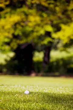 Golf course Free Stock Photos
