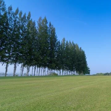 Golf course Stock Photos