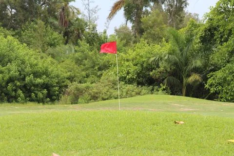 Golf Course 写真素材