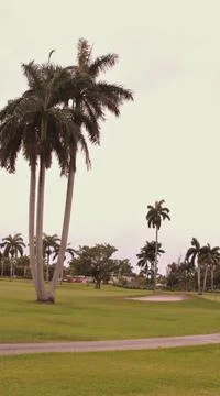 Golf Course 스톡 사진
