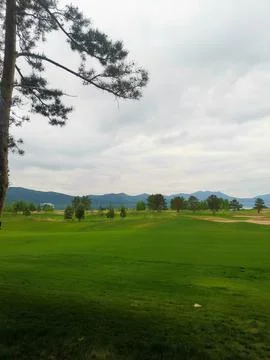 Golf course Stock Photos