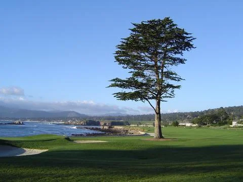 Golf course Stockfoto's