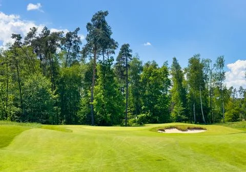 Golf course with pine forest and lake with green Fotos de archivo