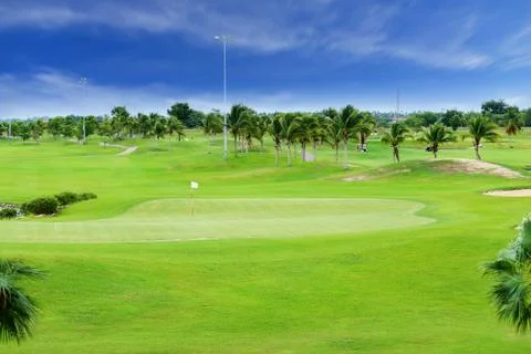 Golf course with plam tree Stock-Fotos