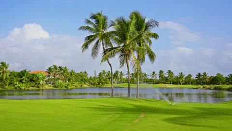 A golf course pond with green grass and palm trees. Video stock 344329275