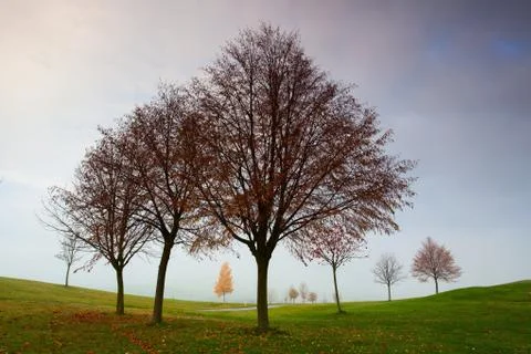 On the golf course in Prague Stock Photos