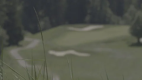 Golf course pull rack focus Video stock 123471072