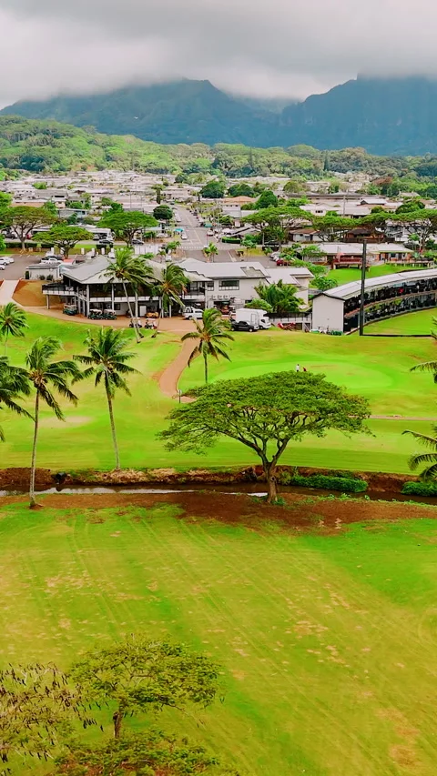 Golf course with residential grid and cloud-covered mountains. Vertical video. Stock Footage 319760915