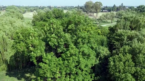 Golf course reveal Stock Footage 229474789