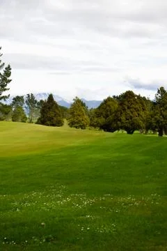 Golf Course rough area Stock Photos