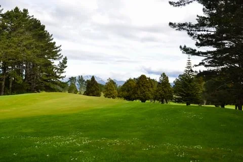 Golf Course Rough area Stock Photos