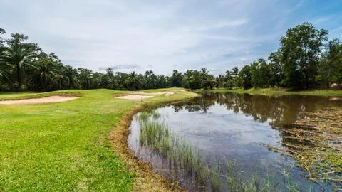 Golf course with row of tree and pond Stock Photos