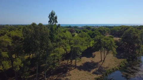 Golf course By the sea Stockbeeldmateriaal 98826481