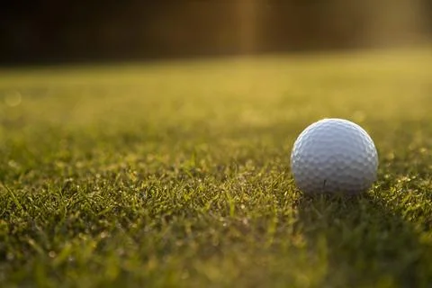Golf course on a sunny day Stock Photos