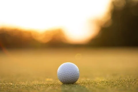 Golf course on a sunny day Stock Photos