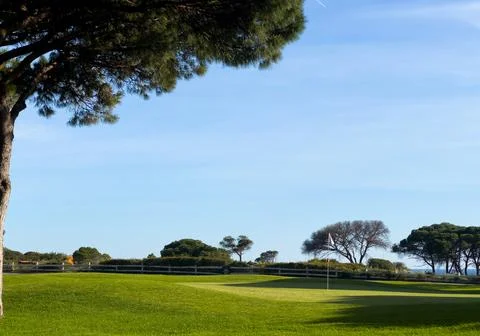 Golf course on a sunny day. Stock Photos