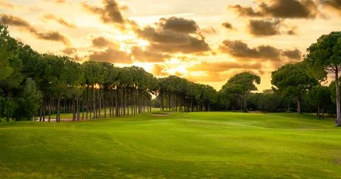Golf course at sunset with beautiful dramatic sky. Scenic panoramic view of golf Stock Photos