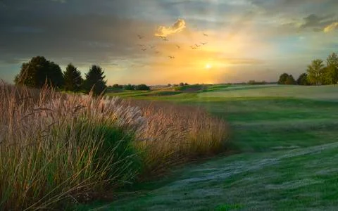 Golf course at sunset Stock Photos