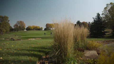 Golf Course Tee Box Stock-Footage 253505691