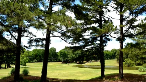Golf Course time-lapse photography Stock Footage 129175559