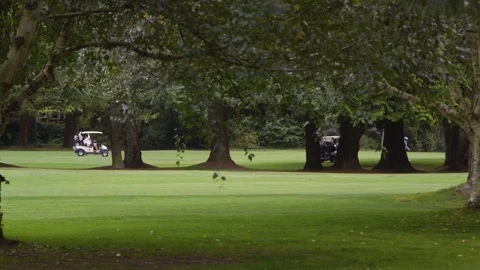 Golf course with trees, golf carts and golfers playing Stock Footage 85369898