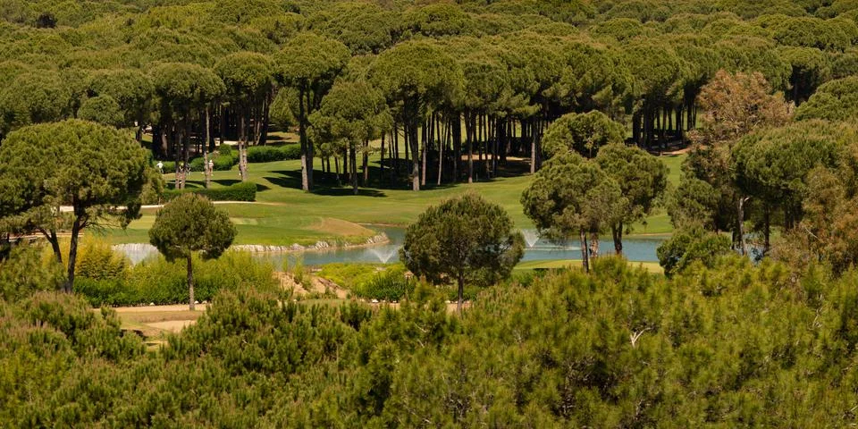 Golf course view from drone in dense forest vegetation Stock Photos