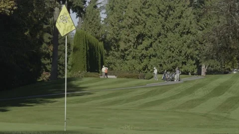 Golf course. View to the fairways. 库存影片 142598867