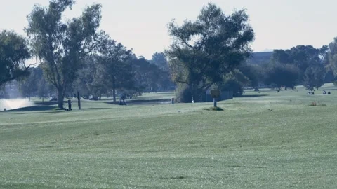 Golf Course Wide View Stock Footage 169260095