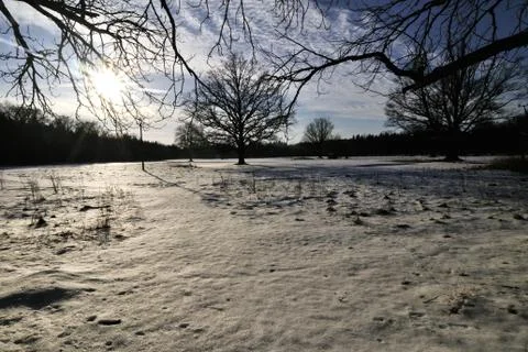 Golf course in winter Stock Photos