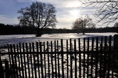 Golf course in winter Stock Photos