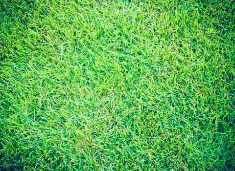 Golf Courses green lawn pattern textured background Stock Photos