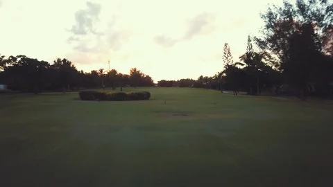 Golf field drone view Video stock 100770894