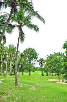 Golf field Stock Photos