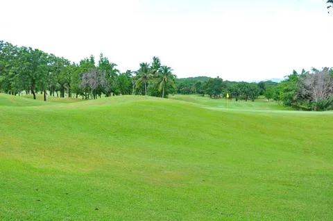 Golf field Stock Photos