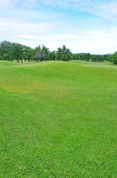 Golf field Stock Photos