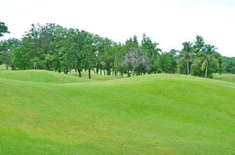 Golf field Stock Photos