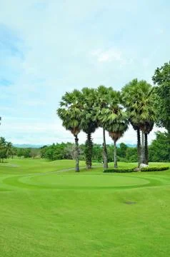 Golf field Stock Photos