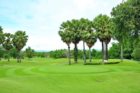 Golf field Stock Photos