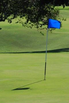 Golf field Stock Photos