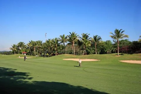 Golf field Stock Photos