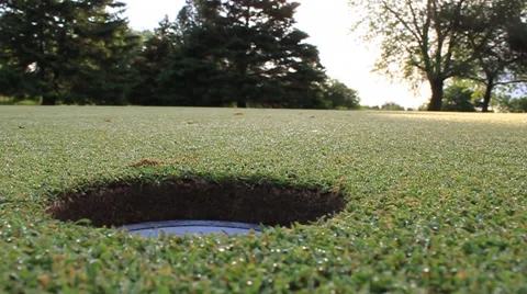 Golf Flag into hole 動画素材 43802973
