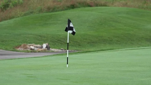 Golf Flag on Putting Green 스톡 동영상 342915217