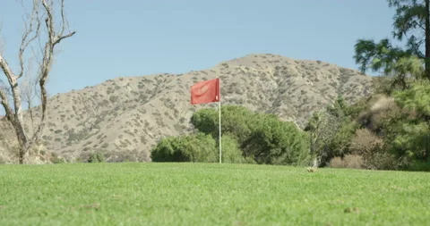 Golf Flag in the Wind Video stock 192324841