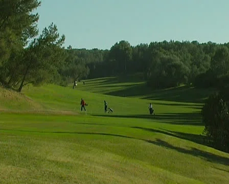 Golf Video stock 25851300