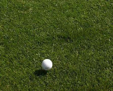 Golf Stock Footage 25851455