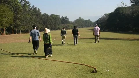 Golf game Stock Footage 146468432