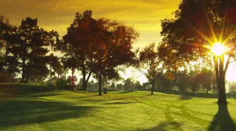 Golf, Golf Course, Fairway, Tree, Sun, Sun Beams, Early Morning, Late Afternoon, Stock Footage 66519519